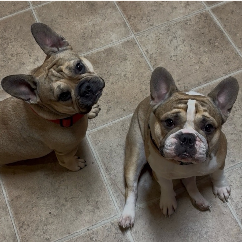 Unlisted live item(s) 🏆